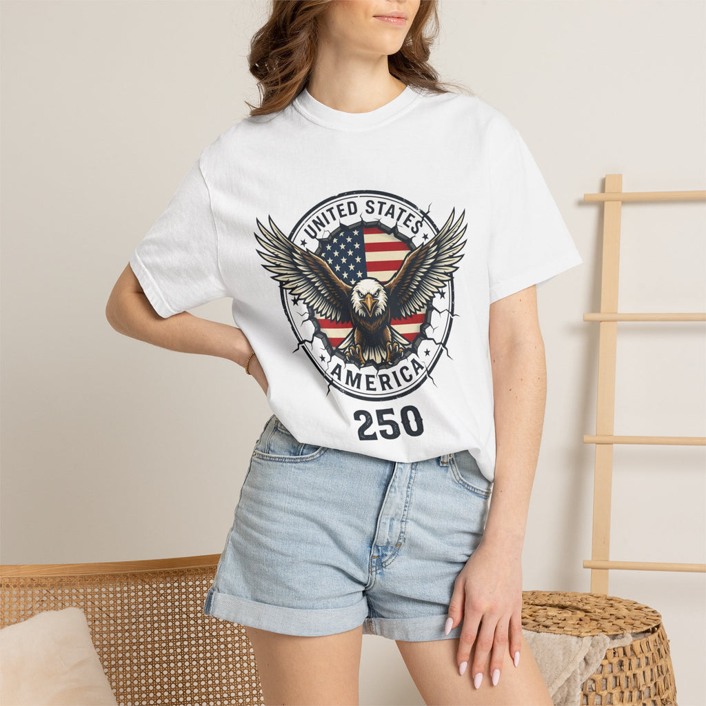 America 250 Garment-Dyed T-shirt