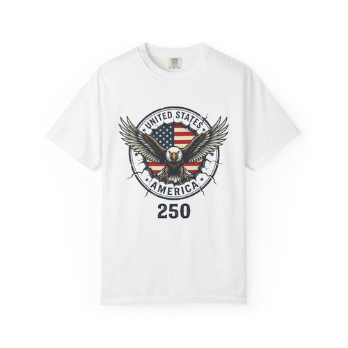 America 250 Garment-Dyed T-shirt