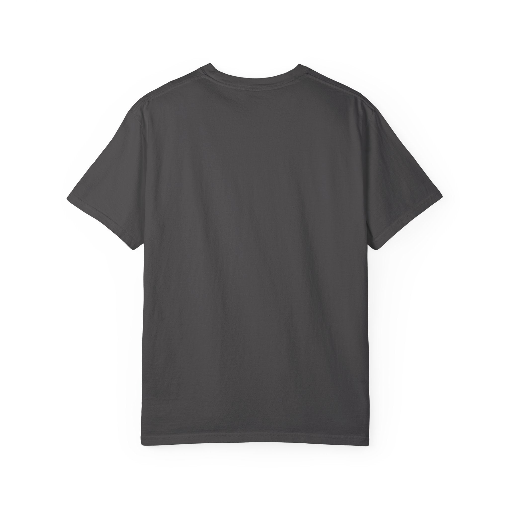 America 250 Garment-Dyed T-shirt